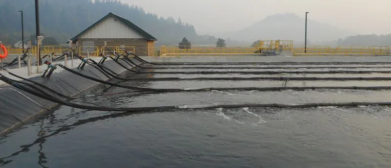 Myrtle Point – USA